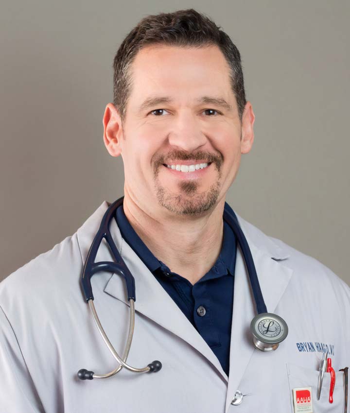 Bryan Haag